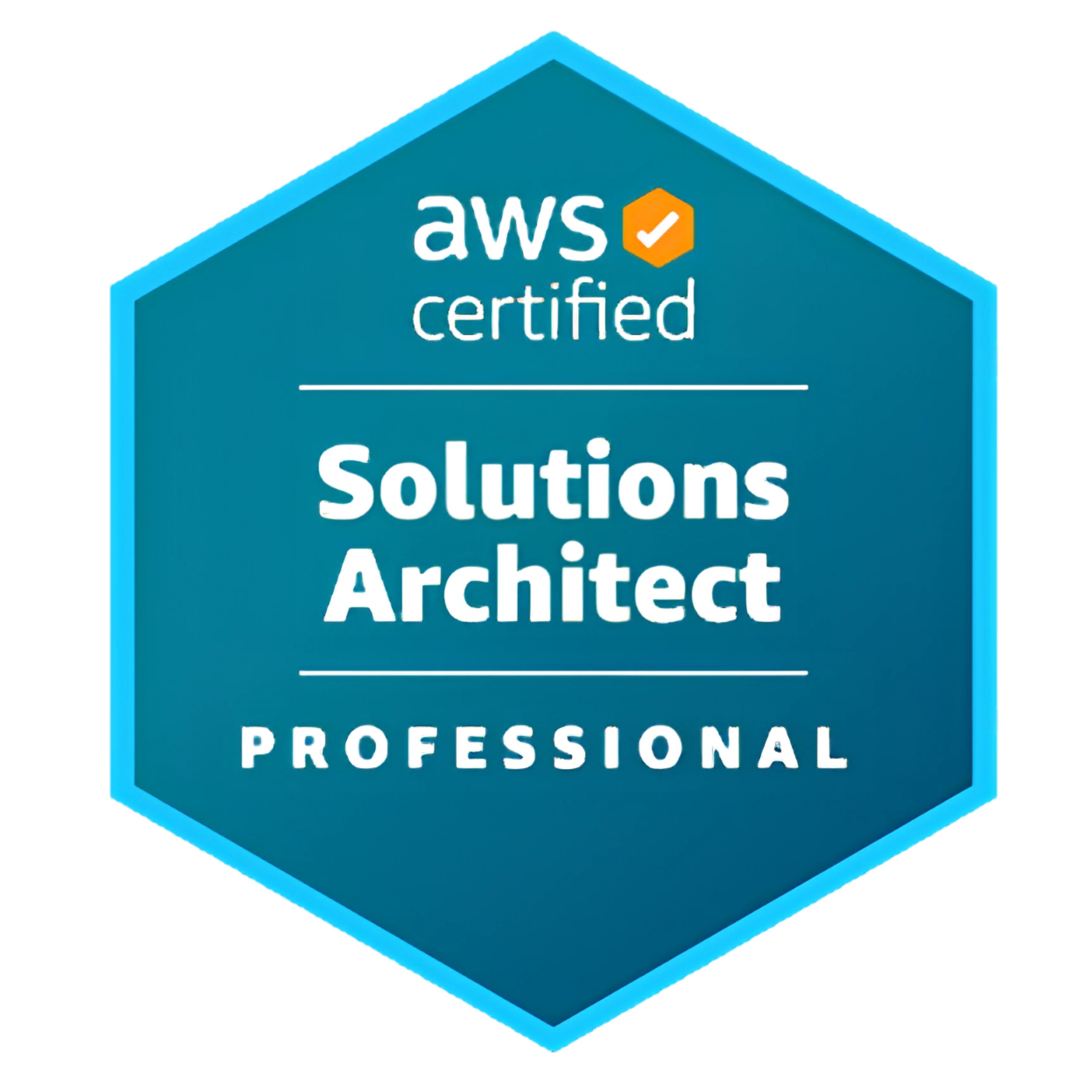 AWS Certified Solutions Architect - Professional logo