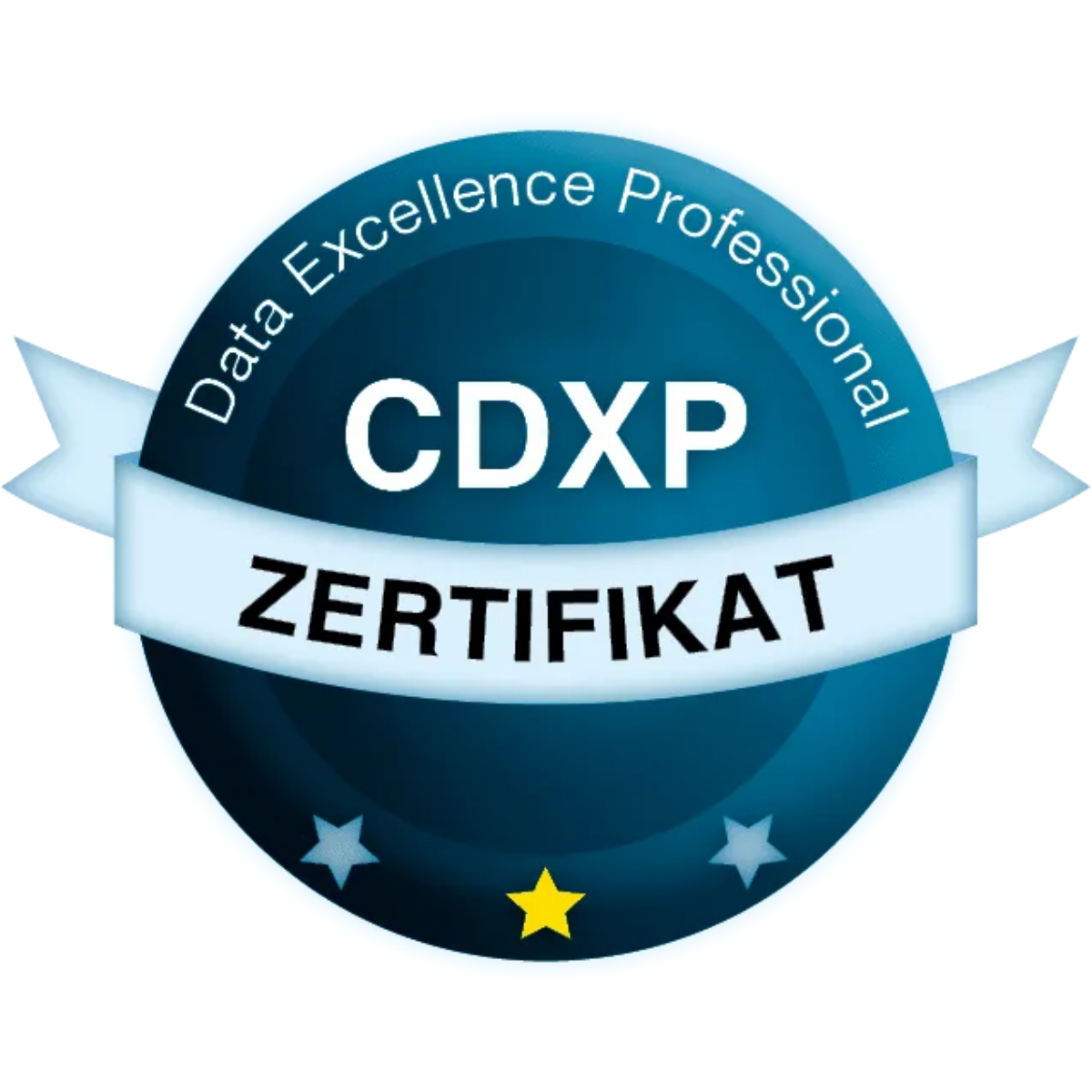 Data Excellence Professional - CDXP logo